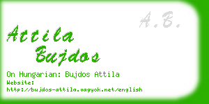 attila bujdos business card